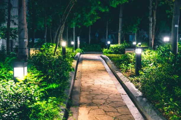 Photo of Path on Garden at night