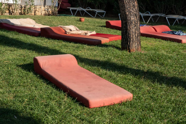 istock sunbeds on the grass floor at the beach 1340783980
