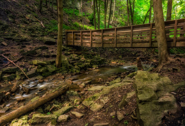 A rocky river bed with walking bridge in the distance. Grindstone Creek and nature area in Columbia, Missouri.