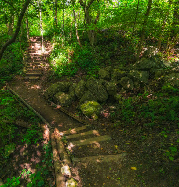 istock Wooden Staircase in a Forest 1340784321