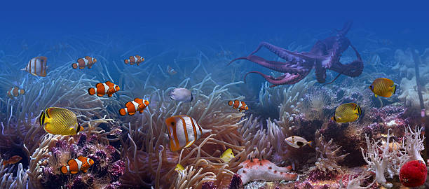 Colorful and exotic sea life underwater