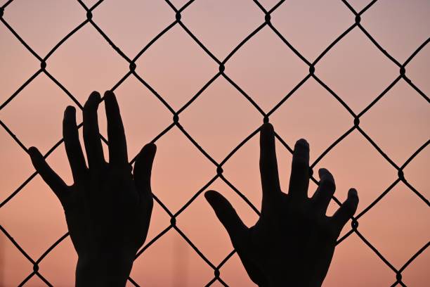 istock Front view silhouette of hands on a fence, sunset background. 1340785166