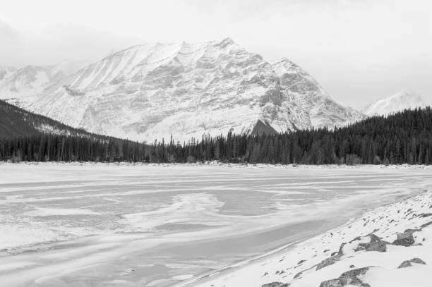 istock The cold of Winter 1340786057