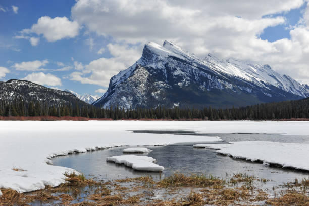 istock The slope of Rundle 1340786129