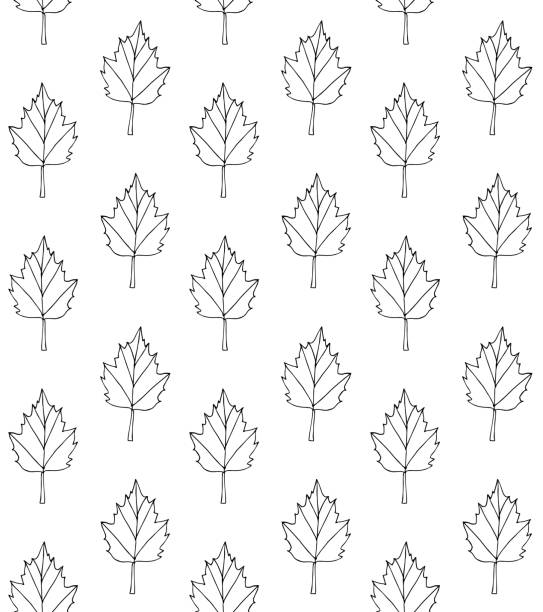 ilustrações, clipart, desenhos animados e ícones de vetor padrão perfeito de folhas de esboço de rabisco desenhado à mão - spring clover leaf shape clover sketch