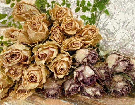 My original photo of bunches of dried rosebuds lying on a table has been transformed using the Artomaton app to create a coloured pencil drawing effect and give a rustic vintage feel to the image