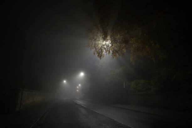 carretera brillante desierta y espeluznante en sheffield, niebla espesa durante la noche - nocturnal animal fotografías e imágenes de stock