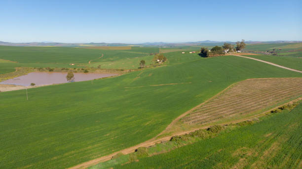 istock General view of countryside landscape with cloudless sky 1340800480