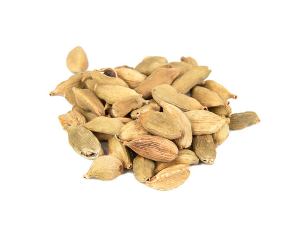 istock Cardamom spice isolated on the white background 1340803015