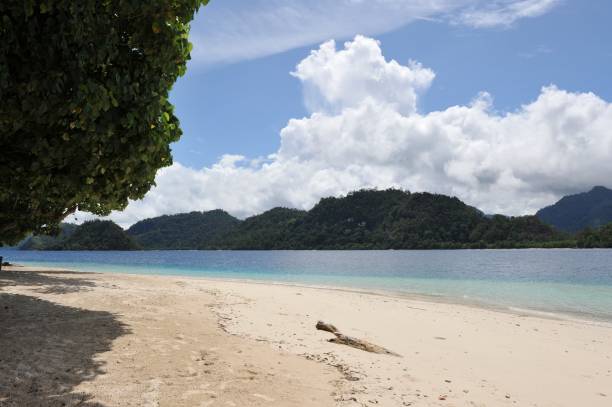 istock Sikuai island beach 1340804667
