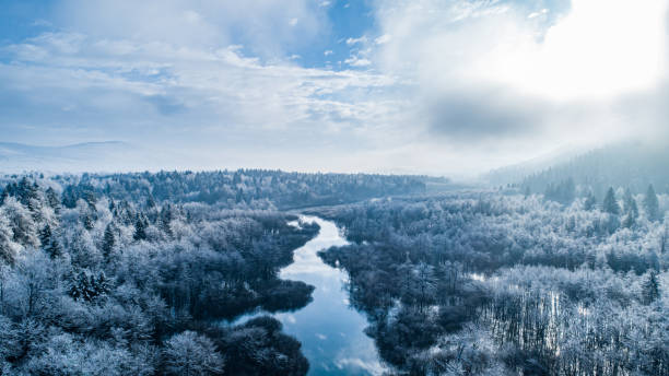 vista aerea sul fiume e sulle foreste nella mattina d'inverno - winter river foto e immagini stock