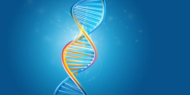 DNA molecule structure on a blue background. Vertical model of double helix DNA with a golden glow on a blue background. Vector illustration. genomics stock illustrations