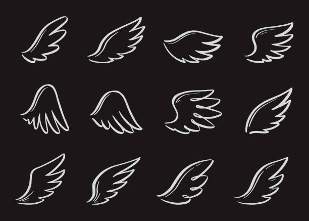 illustrations, cliparts, dessins animés et icônes de ensemble d’ailes de griffonnage d’ange. dessiné à la main - wing