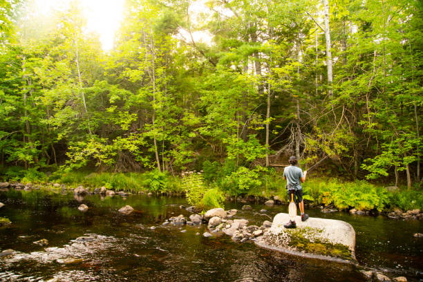 A young fly-fisherman on a beautiful trout stream