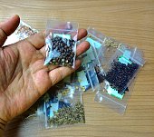Hand Holding Vegetable Seeds in Plastic Bag