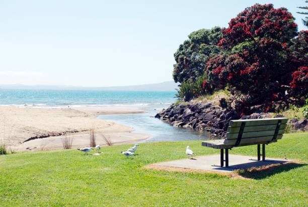 istock Summer at the Beach Landscape with Seagulls 1340813322