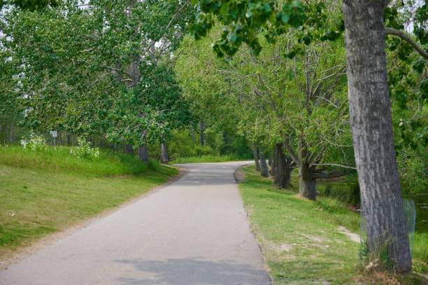 istock Beautiful alley in the park 1340814840