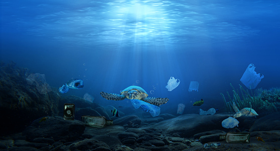 Plastic pollution in ocean ,  plastic bags in the depths of the ocean