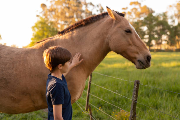 istock 10 years old boy touching a horse at sunset 1340820041