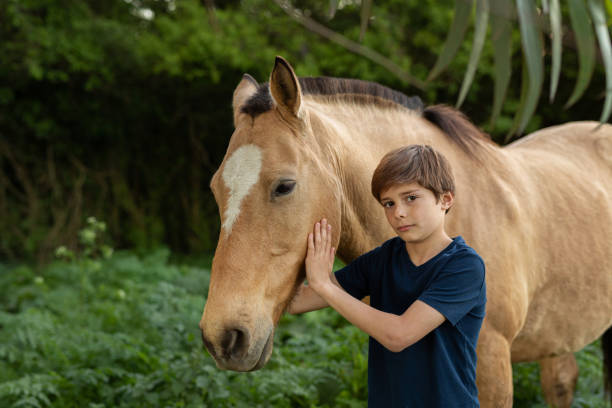 istock 10 years old boy touching a horse at sunset 1340820111