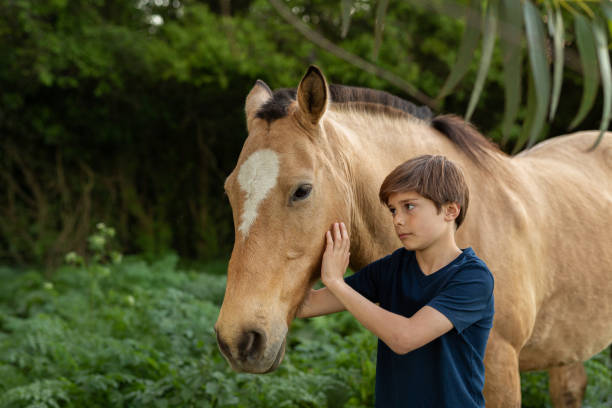 istock 10 years old boy touching a horse at sunset 1340820119