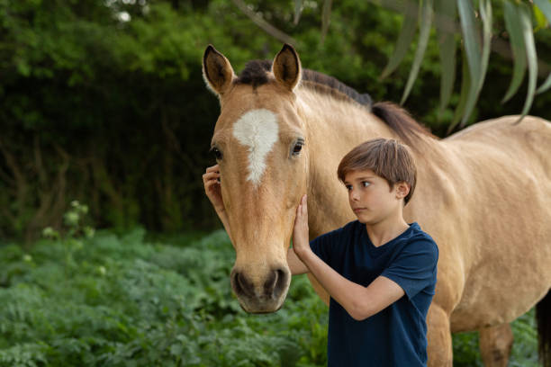 istock 10 years old boy touching a horse at sunset 1340820124