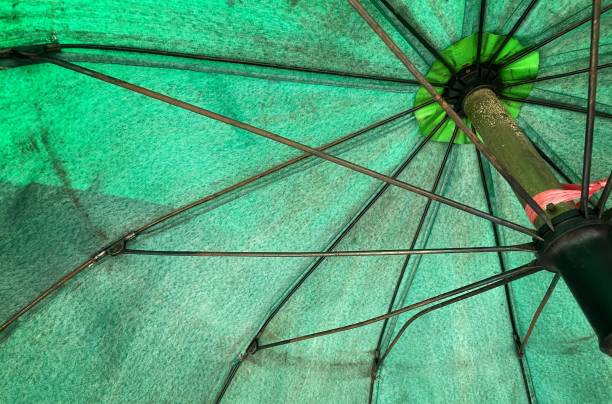 istock color green Outdoor Umbrellas Background. 1340820537