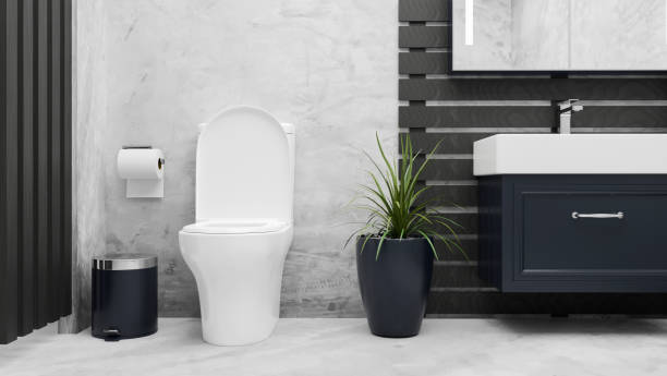 Modern elegance bathroom interior with toilet bowl, ceramic washbasin in marble floor and loft wall Closeup, Modern elegance bathroom interior with toilet bowl, ceramic washbasin, cabinet, trash bin, toilet paper, indoor plant in marble floor and loft wall, 3d rendering, 3d illustration toilet bowl stock pictures, royalty-free photos & images