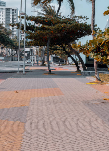 istock View from Boa Viagem avenue 1340825370