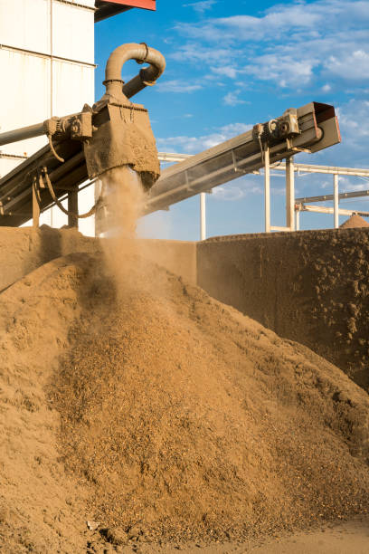 istock Dramatic image of a almond processing plant separating nuts from the shell in a large pile. 1340833645