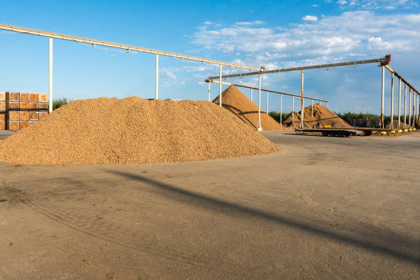 istock Dramatic image of almond processing plant with agricultural machinery piling up almond shells. 1340833656