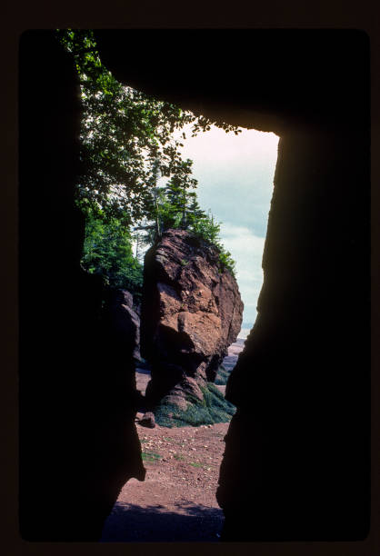 hopewell rocks - skalní rámovací skály - 1985 - 1985 fotky - stock snímky, obrázky a fotky