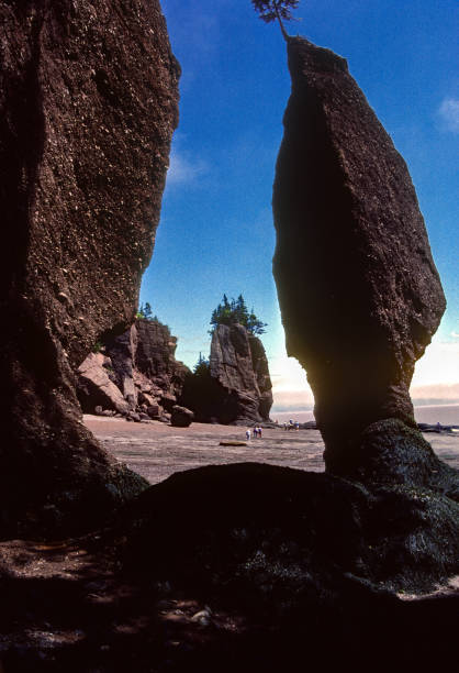 hopewell rocks - silueta skalní formace zblízka - 1985 - 1985 fotky - stock snímky, obrázky a fotky