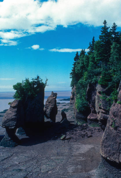 istock Hopewell Rocks - View from Above - 1985 1340833756