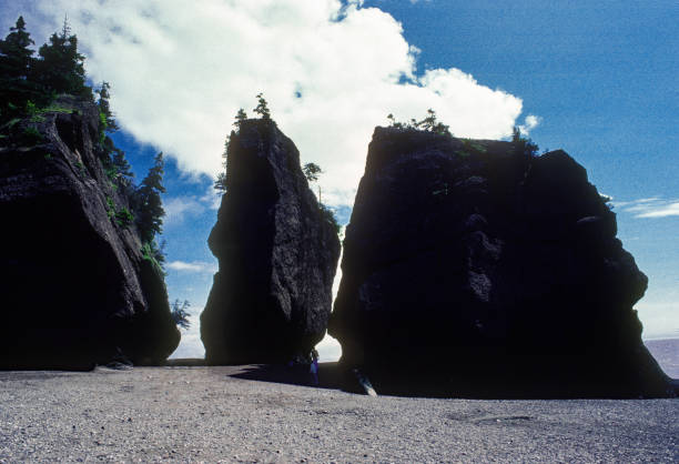 istock Hopewell Rocks - Massive Rock Formations - 1985 1340833764