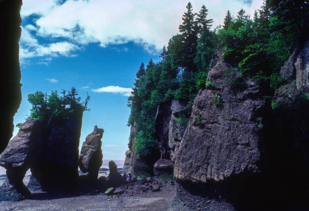 hopewell rocks - skalní útvary při odlivu - 1985 - 1985 fotky - stock snímky, obrázky a fotky