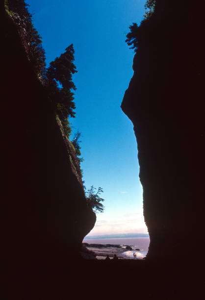 hopewell rocks - nový brunšvik - 1985 - 1985 fotky - stock snímky, obrázky a fotky