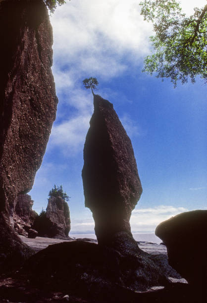 Hopewell Rocks - Silhouetted Rock Formation - 1985