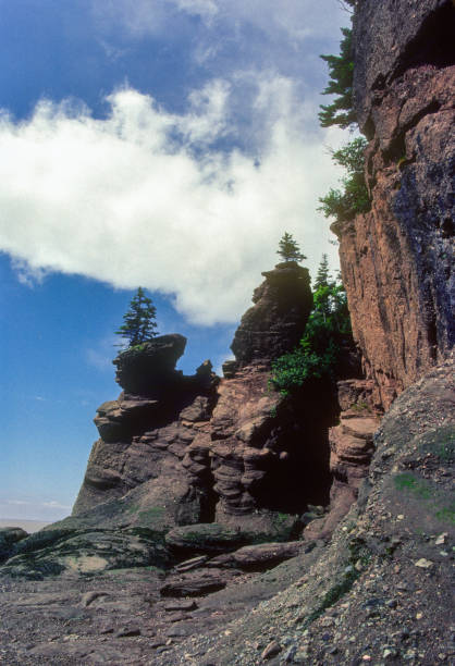 istock Hopewell Rocks - Rock Formations on the Beach - 1985 1340834527