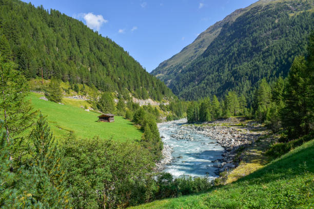緑のアルプス渓谷の風景を流れる川 - mountain landscape rock european alps ストックフォトと画像