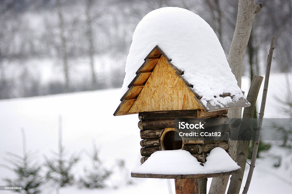 Birdbox - 로열티 프리 0명 스톡 사진