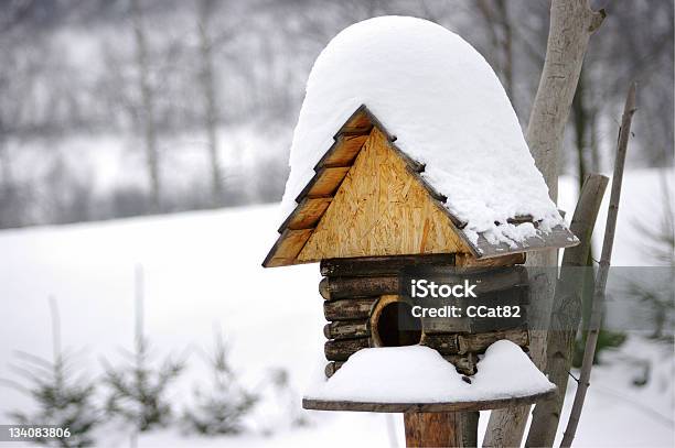 Birdbox 0명에 대한 스톡 사진 및 기타 이미지 - 0명, 겨울, 계절