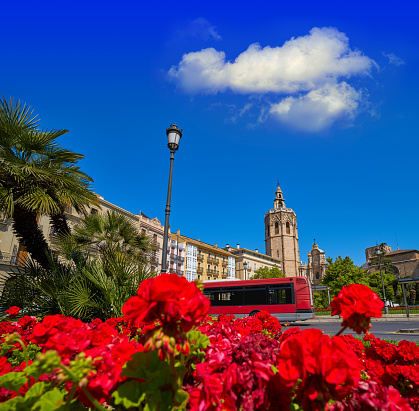 Valencia Plaza de la Reina square Miguelete also Micalet tower in Spain red flowers