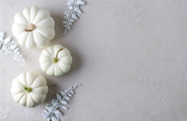 istock White autumn pumpkins on a beige background, copying space 1340853598