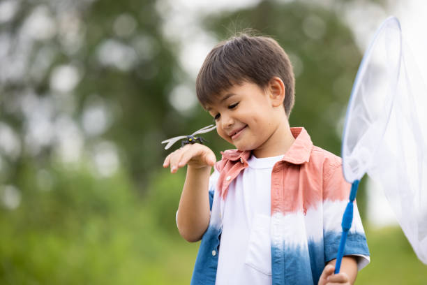 boy with dragonfly on holding hand in the nature background