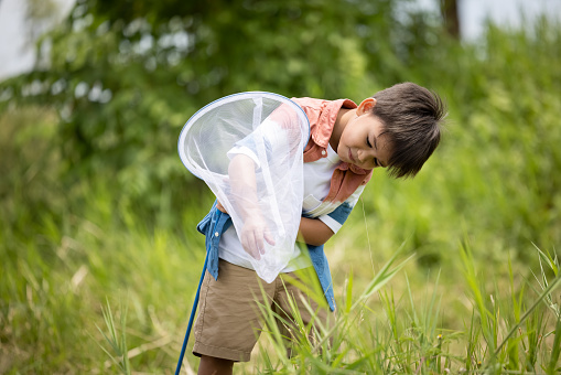 Little boy with a butterfly net in hand in the green field.
