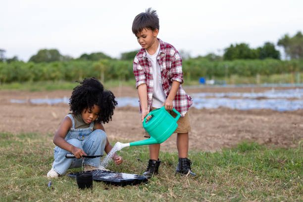 istock American African-ethnicity children prepare soil put in container and watering them to be moist for planting seedlings to growing vegetables in the agriculture farm,  kids playing seeding growing vegetables education plants in summer concept 1340855714