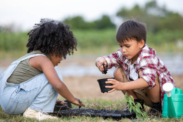 American African-ethnicity children prepare soil put in container and watering them to be moist for planting seedlings to growing vegetables in the agriculture farm,  kids playing seeding growing vegetables education plants in summer concept