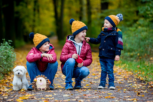 Three children, cute boys, siblings playing in park on sunny autumn day