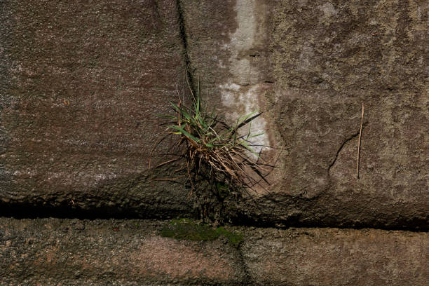 Old weathered sandstone wall.